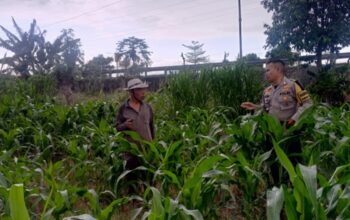 Polres Lobar Kawal Program Ketahanan Pangan Nasional di Desa