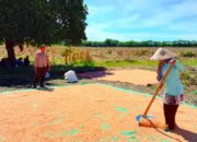 Sinergi Polisi dan Petani di Pekat, Hasil Panen Dikawal Hingga ke Bulog