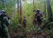 Satgas Operasi Damai Cartenz 2026 Laksanakan Patroli Taktis dan Penyisiran di Yahukimo