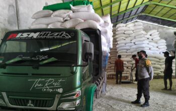 Sinergi Bhabinkamtibmas dan Poktan Batu Rapat Jaya: Pastikan 22 Ton Jagung Petani Terserap Maksimal oleh Negara