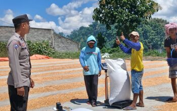 Bhabinkamtibmas Desa Mbuju Pantau Penjemuran Jagung, Dukung Ketahanan Pangan Nasional