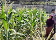 Optimalkan Lahan Tidur, Bhabinkamtibmas Labuapi Ajak Warga Wujudkan Pekarangan Bergizi