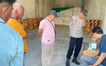 Sinergi Ketahanan Pangan: Puluhan Ton Jagung dari Sekotong Resmi Didistribusikan ke Gudang Bulog