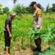 Polri Kawal Ketahanan Pangan Nasional di Desa Labuapi