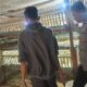 Kemandirian Pangan Desa Beleke: Sinergi Bhabinkamtibmas dan Peternak Lokal demi Stabilitas Ekonomi