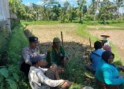 Bhabinkamtibmas Desa Sepakek Monitoring Program Ketahanan Pangan dan Perkuat Kamtibmas di Wilayah Binaan