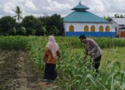 Bhabinkamtibmas di Lombok Barat Sulap Lahan Kosong Jadi Kebun Pangan