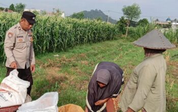 Sinergi Bhabinkamtibmas dan Petani Optimalkan Lahan