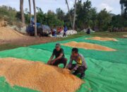 Ketahanan Pangan Jadi Prioritas, Polsek Kempo Intens Dampingi Warga Binaan