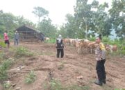 Bhabinkamtibmas Desa Dorebara Edukasi Warga Jaga Lahan Pertanian dan Ternak Demi Ketahanan Pangan