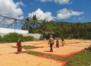 Kapolsek Manggelewa Dorong Petani Distribusikan Hasil Panen ke Gudang Bulog