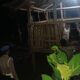 Polsek Lembar Gencarkan Patroli Malam Cegah Pencurian Ternak