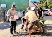 Bhabinkamtibmas Seteluk Tengah Dampingi Pemotongan Hewan Kurban Polres Sumbawa Barat