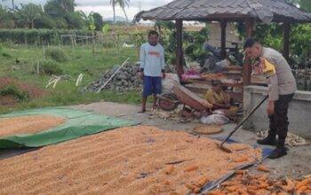 Upaya Ketahanan Pangan Lewat Sambang Produktif di Labuapi