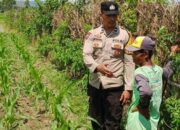 Cara Cerdas Bhabinkamtibmas Labuapi Ajak Warga Sulap Lahan Kosong Demi Ketahanan Pangan Nasional