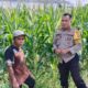 Polsek Labuapi Kawal Ketahanan Pangan di Desa Bagik Polak