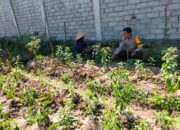Bhabinkamtibmas Desa Sakra Selatan Monitor Program Ketahanan Pangan dan Ajak Warga Dukung Program Pemerintah lainnya