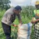 Polsek Labuapi Dorong Ketahanan Pangan di Bagik Polak Barat