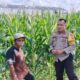 Cara Bhabinkamtibmas Bagik Polak Barat Sukseskan Swasembada Pangan