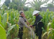 Sinergi Polisi dan Warga Dusun Tato Barat Lombok Barat Kejar Swasembada Pangan