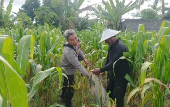 Sinergi Polisi dan Warga Dusun Tato Barat Lombok Barat Kejar Swasembada Pangan