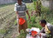 Bhabinkamtibmas Labuapi Kawal Swasembada Pangan Desa