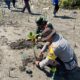 Bhabinkamtibmas dan Babinsa Desa Tanjung Luar Tanam Bibit Mangrove, Ajak Warga Jaga Kelestarian Pantai