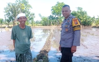 Strategi Polsek Labuapi Perkuat Swasembada Pangan di Kuranji