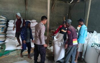 BHABINKAMTIBMAS DESA O’O PANTAU PENGEMASAN DAN PENIMBANGAN JAGUNG, DUKUNG KETAHANAN PANGAN MASYARAKAT