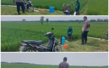 Polsek Soko polres Tuban Polda Jawa Timur Bergerak! Dukung Penuh Swasembada Pangan Presiden Prabowo Melalui Pendampingan Petani