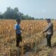 Polri Dukung Astacita, Polsek Rengel Polres Tuban Turun Cek Tanaman Jagung Warga di Desa Kebonagung