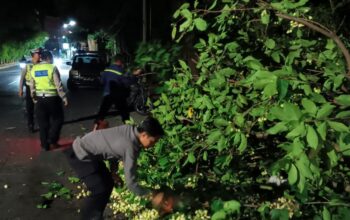 Patroli Malam Polsek Batulayar Evakuasi Pohon Tumbang di Tanjakan Alberto