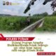 Polri dukung progam Astacita, Polsek Jatirogo Polres Tuban Turun Cek Tanaman jagung Warga di Desa Kebonharjo