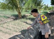 Dalam rangka mendukung Program ASTACITA guna perkuat ketahanan pangan, Bhabinkamtibmas Desa Cengkong Polsek Parengan Polres Tuban cek lokasi tanaman bawang merah milik warga di Desa Cengkong Kec. Parengan