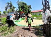 DUKUNG PROGRAM KETAHANAN PANGAN NASIONAL, BHABINKAMTIBMAS DESA DAHA MONITOR HASIL PANEN JAGUNG