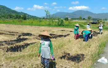 Bhabinkamtibmas Gerung Motivasi Kelompok Tani Karang Langko