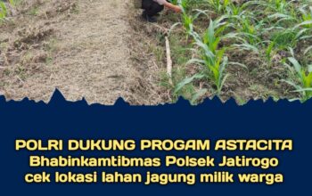 Polsek Jatirogo Pantau Ladang Jagung Warga Desa Bader , Wujud Nyata Dukung Astacita