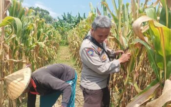 Bhabinkamtibmas Polsek Batulayar Ajak Warga Sukseskan Swasembada Pangan