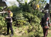 Bhabinkamtibmas Desa Kidang Dorong Warga Manfaatkan Pekarangan dan Jaga Kamtibmas