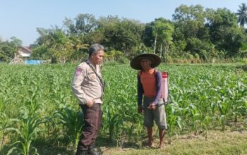 Dukung Ketahanan Pangan, Polsek Batulayar Ajak Warga Menanam Sayur