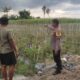 Bhabinkamtibmas Lombok Barat Dampingi Petani Dorong Ketahanan Pangan