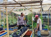 Sinergi Polsek Labuapi dan Warga Bajur Perkuat Pangan Lokal