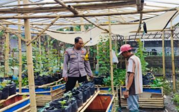 Sinergi Polsek Labuapi dan Warga Bajur Perkuat Pangan Lokal