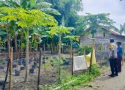 Cara Polsek Labuapi Lombok Barat Jaga Ketahanan Pangan Warga