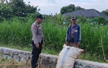 Aksi Nyata Polsek Labuapi Kawal Kedaulatan Pangan, Borong Semangat Petani di Sawah