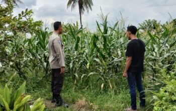 Polsek Labuapi Dampingi Petani Lokal Perkuat Ketahanan Pangan Desa