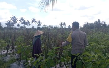Bhabinkamtibmas Desa Masbagik Utara Perkuat Ketahanan Pangan Lewat Sambang Petani dan Monitoring Tanaman