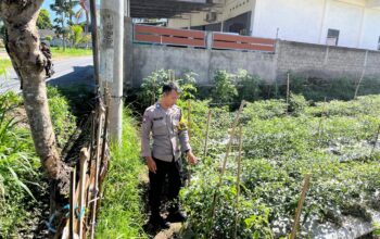 Bhabinkamtibmas Desa Kumbang Perkuat Ketahanan Pangan Lewat Sambang Warga dan Monitoring Lahan Pertanian