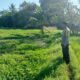 Dukung Ketahanan Pangan Nasional, Bhabinkamtibmas Desa Ledang Sambangi Petani Hortikultura