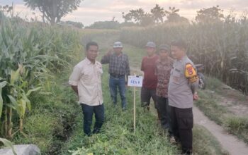 Bhabinkamtibmas Desa Malaju Dorong Pemanfaatan Pekarangan untuk Dukung Ketahanan Pangan di Kecamatan Kilo